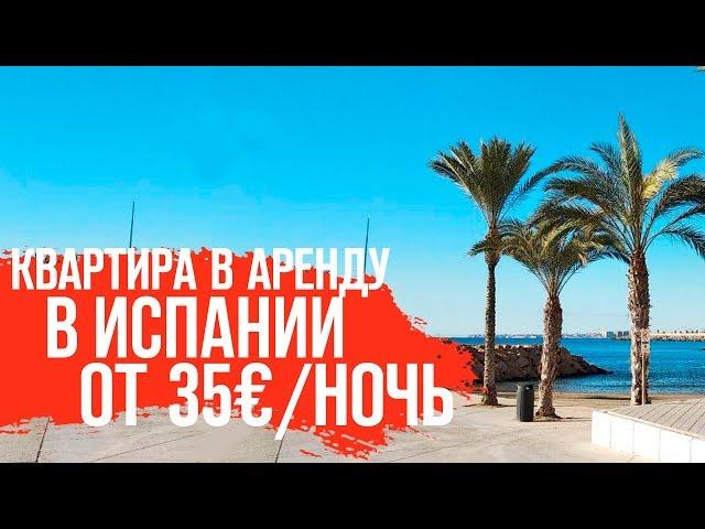 Апартаменты в аренду в центре города Торревьеха Недвижимость в Испании Недвижимость в Испании