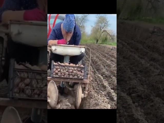 КУРСИ ТРАКТОРИСТА
