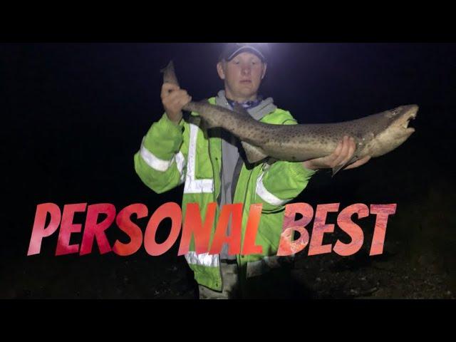 Shore Fishing Cornwall- Bull Huss