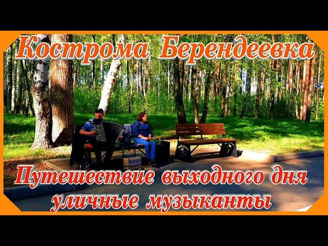 Кострома Берендеевка Уличные музыканты Путешествие выходного дня