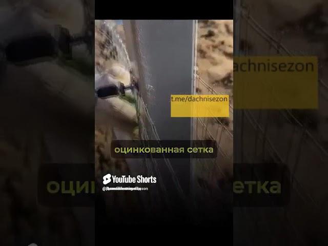 СУПЕР СПОСОБ ЗАКРЫТЬ ПРОСТРАНСТВО ВНИЗУ ЗАБОРА #дача #огород #урожай #своимируками