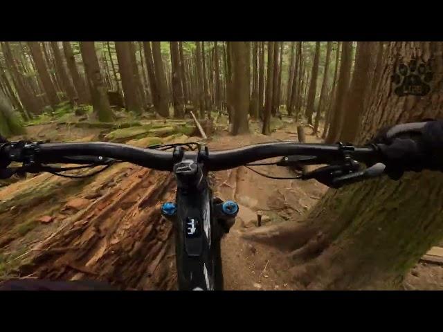 Ridden Art - Burke Mountain, Maple Ridge