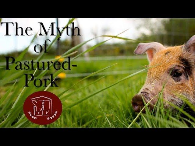 The Myth of Pastured-Pork