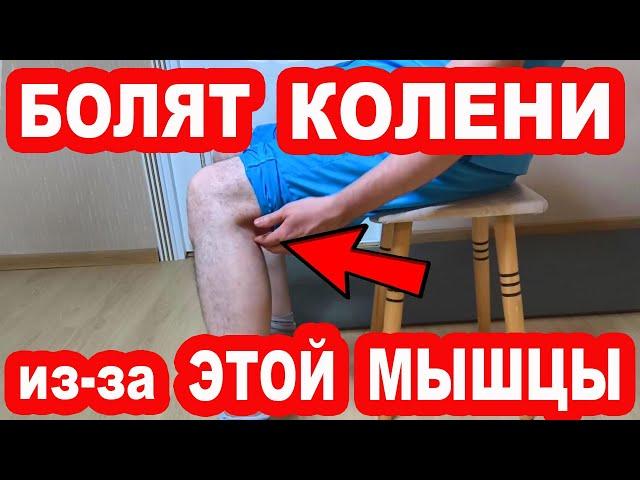 Из-за этой мышцы болят КОЛЕНИ. Показываю как её вылечить и колени не будут болеть НИКОГДА!