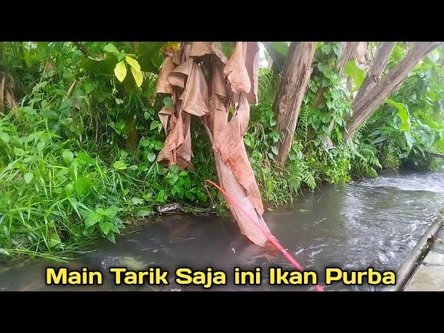 YANG TERJADI KETIKA NEKAT MANCING DI SAAT HUJAN !!