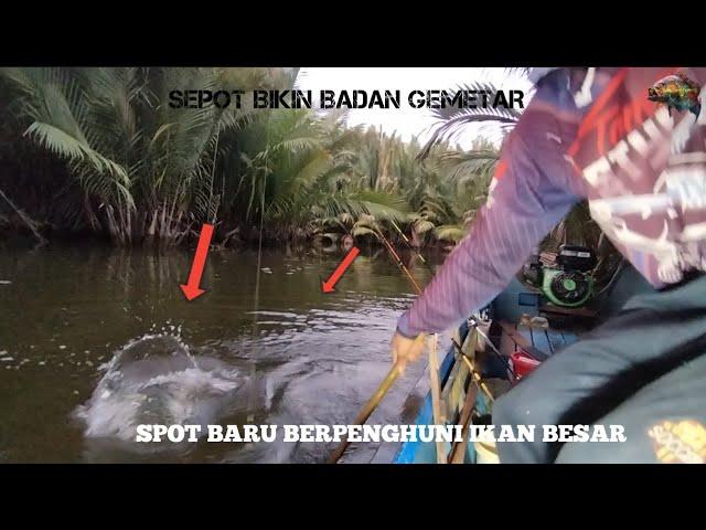 Tak Di Sangka Ketemu Sungai Penuh Penunggu Ikan Besar. #mancingkakap