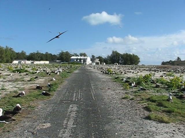 Midway Atoll - Colony Overview