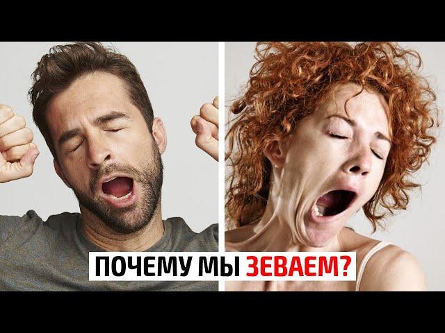 Почему люди зевают?