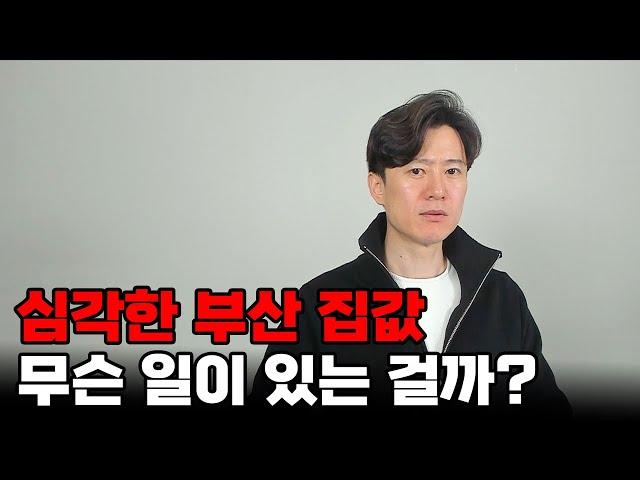 지금 심각한 부산 집값 상황... 무슨 일이 있는 걸까?