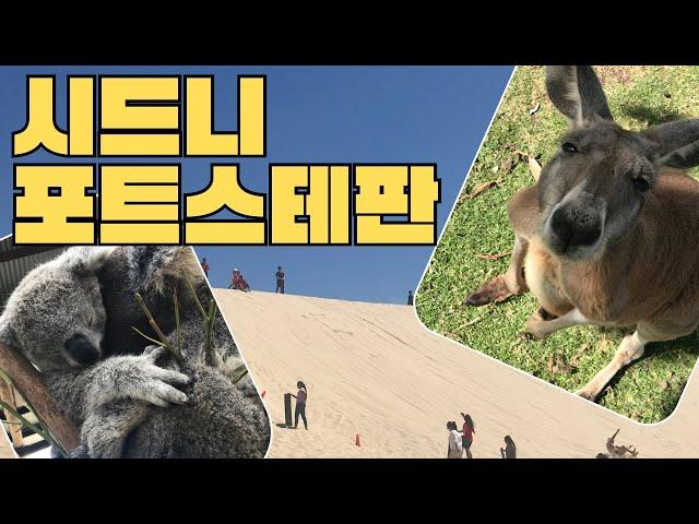 시드니 | 포트스테판 투어 | 오크베일 야생동물원 | 돌고래크루즈 | SYDNEY | Port Stephens