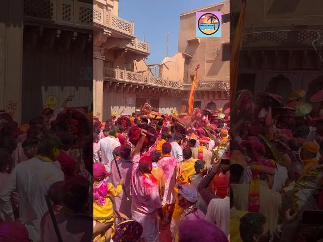 Barsana Holi 2024 #barsana #holi #2024 #shorts #lathmar