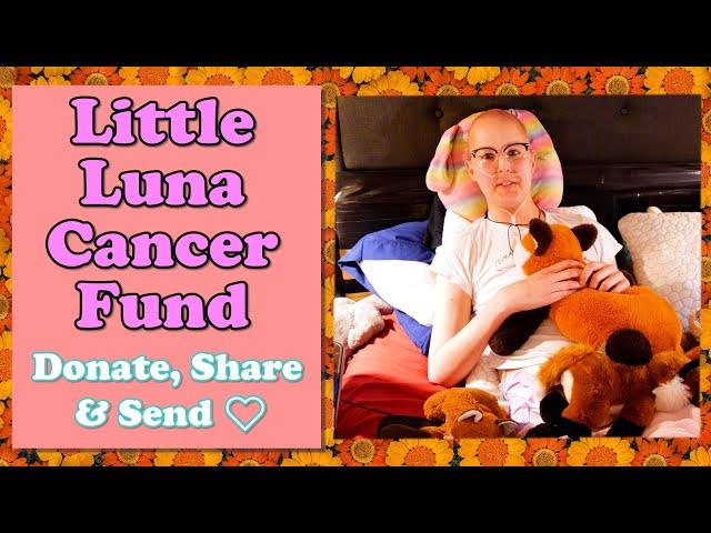The Luna Cancer Fund [RIP Luna]
