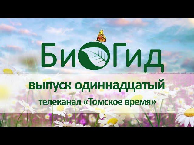 «БиоГид». Выпуск одиннадцатый. В. Н. Буркова о холестерине.