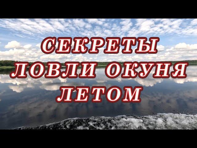 СЕКРЕТЫ ЛОВЛИ ОКУНЯ летом! Когда ЛУЧШЕЕ Время для рыбалки на окуня!