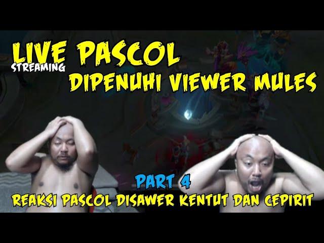 Live Pascol DIPENUHI VIEWER MULES !!! #pascoltopglobalmiya #mobilelegends #streamer