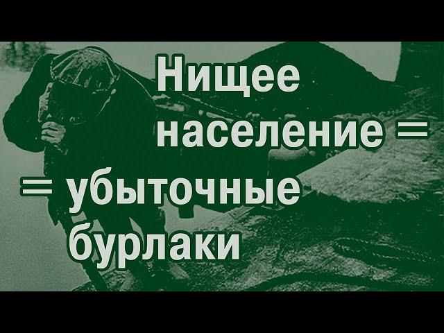 Водные пути 19 века-4. Проект «Бурлаки». Бизнес-план