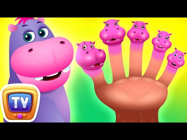 Finger Family Song - Hippo - Kids Songs and Learning Videos - ChuChu TV Classics #nurseryrhymes