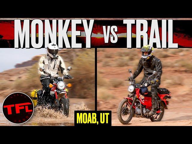 You Don't Need to Spend $30K to Have an Awesome Off-Road Adventure! Honda MiniMotos Go Wild!