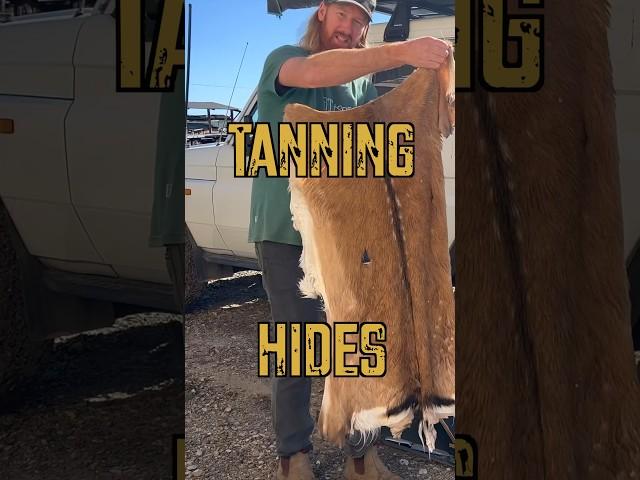 How to tan a deer skin or any animal hide! Full video on my channel!