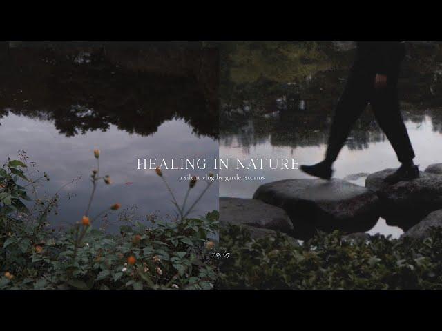 Cosy Autumn Days in the City | Healing with Nature