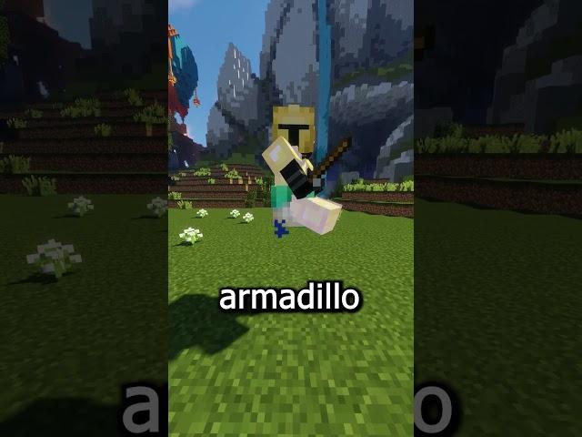 Armadillo Mining Is Officially NO MORE... [Hypixel Skyblock]