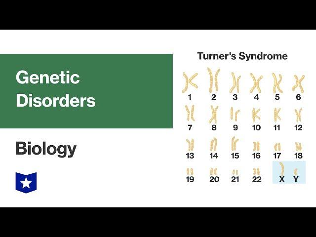 Genetic Disorders | Biology