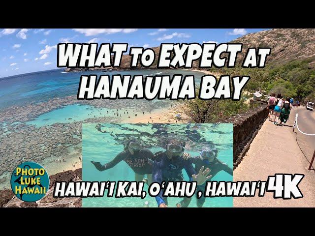 What to Expect at Hanauma Bay August 3, 2023 Oahu Hawaii Snorkeling