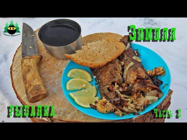 Зимняя рыбалка, приготовление рыбы на костре (часть 2)|Winter fishing, fish cooking over a campfire