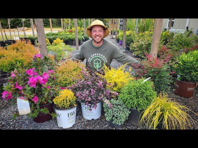 Top 10 Shrub Combinations to Plant In Front of Your Home!