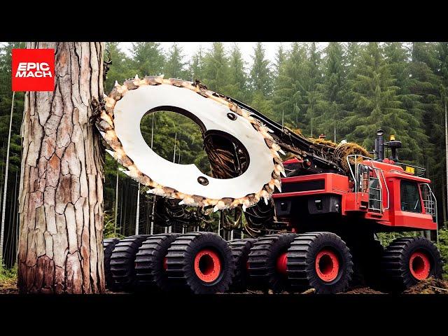 Dangerous Precision - 10 Fastest Tree Harvesting Machines