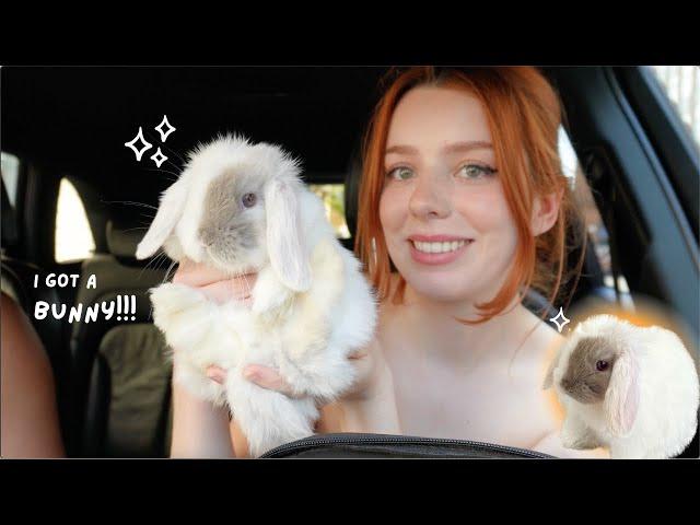 GETTING MY DREAM PET *first 72 hours with baby mini lop bunny*