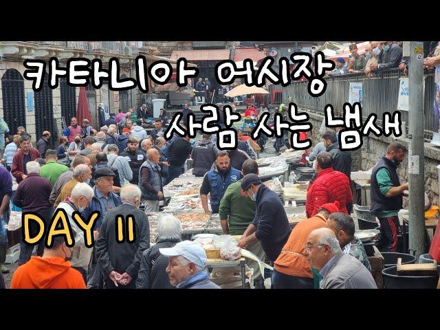 () Day 11 : 카타니아 수산물 시장 Catania l 이탈리아 시칠리아 29박 30일 여행기