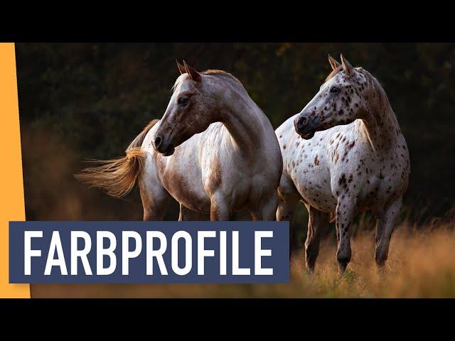 Das musst du über Farbprofile wissen | WIEBKE HAAS