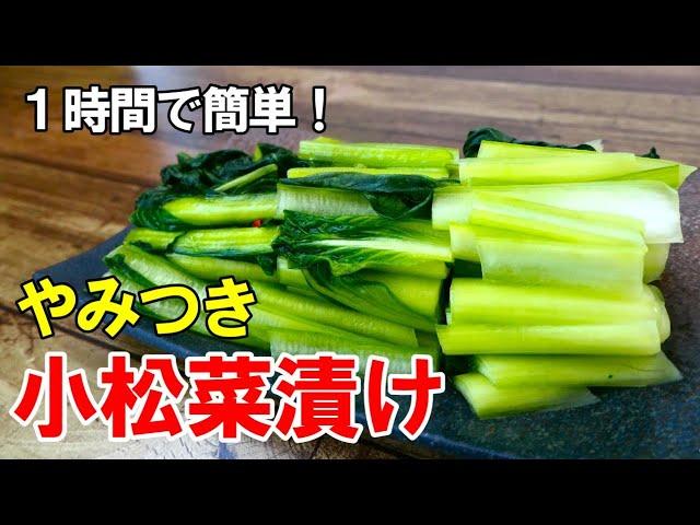 『自家製 小松菜漬け！』まるで野沢菜漬け！？1時間で作れる無限漬物！