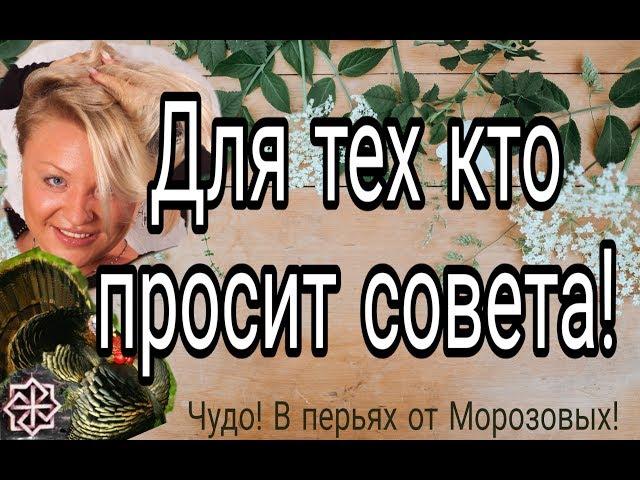 Обращение к тем кто просит совета!