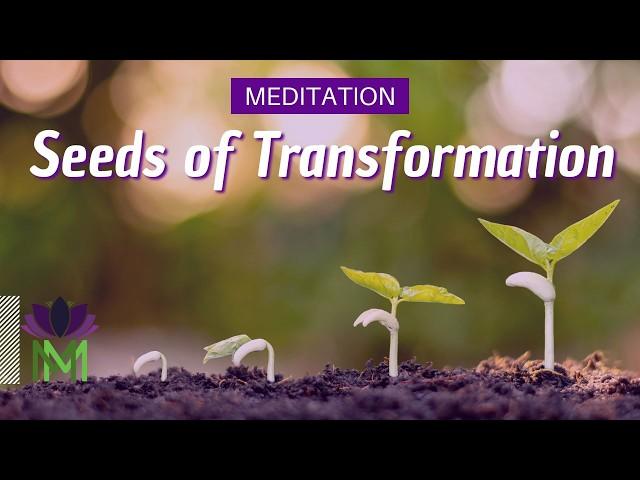 Let Go and Welcome New Beginnings | Summer Solstice 2024 Meditation | Mindful Movement