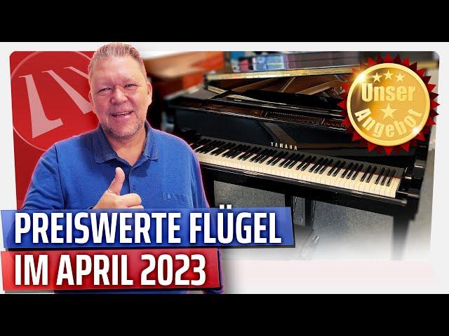 Diese preiswerten Flügel in unserer Galerie müsst ihr sehen! - Unsere Flügelangebote im April 2023