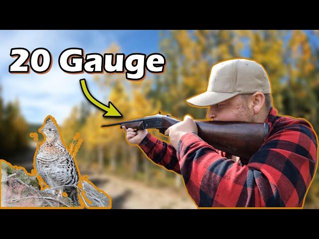 Grouse Hunting with a Single Shot Shotgun