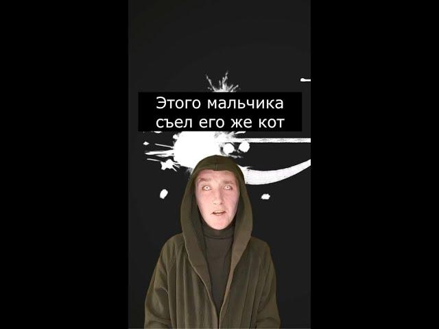 Этого мальчика съел его же кот | Страшилки
