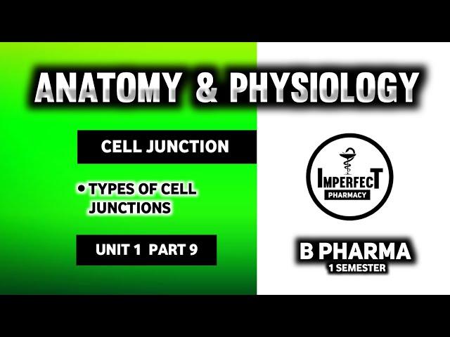 Cell Junctions | Types Of Cell Junctions | Human Anatomy And Physiology | HAP | B Pharma 1st Sem