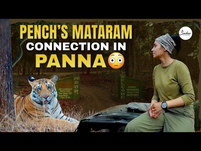 Pench's Mataram Connection In Panna 4K Vlog | Actress Sadaa in Panna | Sadaa Wild Stories