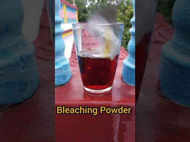 Easy Science Experiment With Iodine and Bleaching Powder 