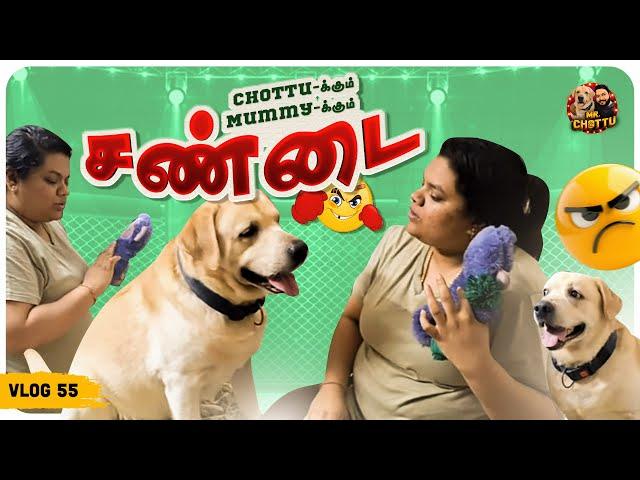 ஒரு பொம்மைக்கு இவ்வளவு பெரிய அக்கப்போரா | Chottu vs Mummy Toy Fight | Vlog 55 | Mr.Chottu