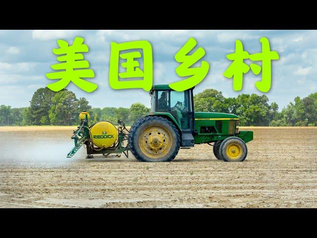 40 中国大妈美国乡村生活：跟着美国大妈来看看美国乡村，看看我们居住的地方