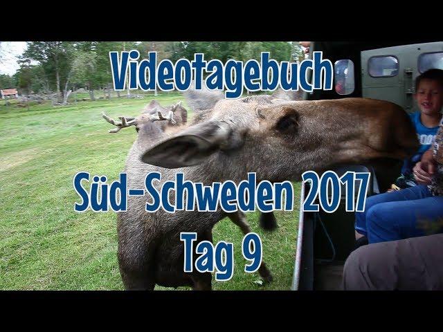 Video-Tagebuch Süd-Schweden - Tag 9 - Elchpark (Virum Älgpark), Kleva Gruva, Växjö