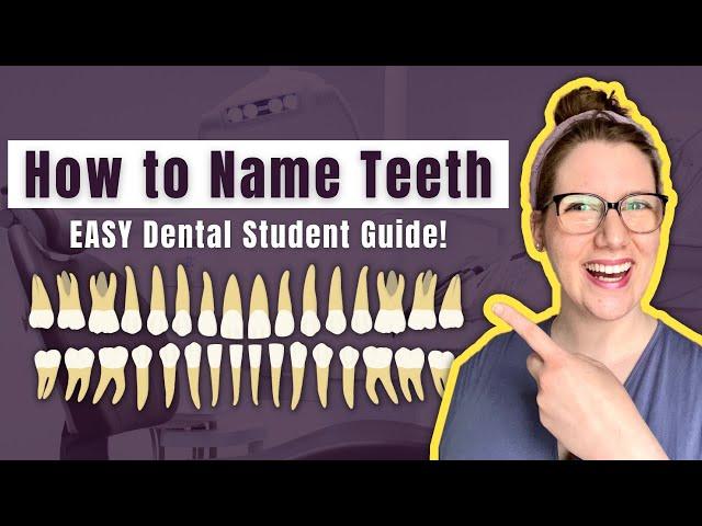 Basic Dental Terminology for Tooth Classification Made EASY | Dental Student Study Guide