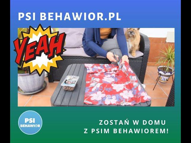 WaRRRkocz - Zostań w Domu z Psim Behawiorem - odcinek 10