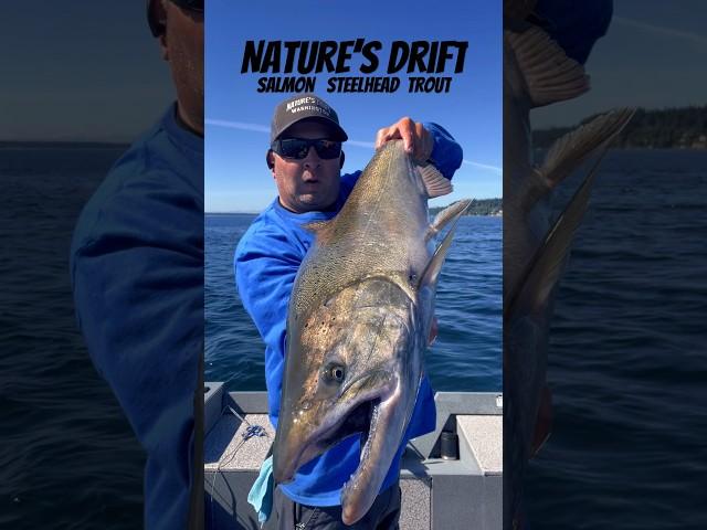 🪱Tricks Pt. Wilson Dart  Chinook Salmon #fishing #tacoma #washington #jigging