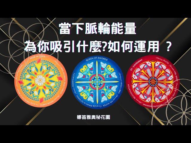 Your chakra energy NOW! What are you attracting? 當下脈輪能量!你吸引什麼？如何運用?塔羅.神諭.字母磚(CC字幕)