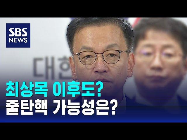 최상목 이후도?…줄탄핵 가능성은? / SBS